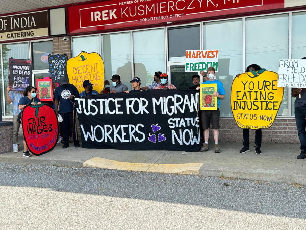 ‘Treated Like Machines’: Open Letter Reveals Inhumane Conditions For Migrant Farm Workers In Brantford, Ontario